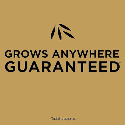 Scotts EZ Seed Patch & Repair Tall Fescue Lawns Combination Mulch, Grass Seed and Fertilizer for Bare Spots and Repair, Grows Anywhere, 10 lb., 2 pack