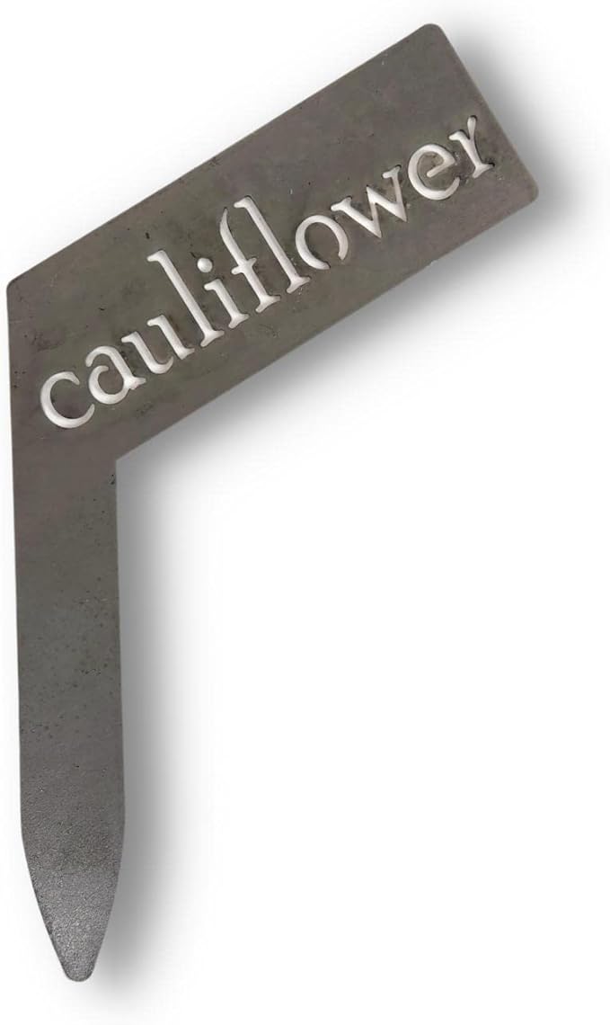 Planter Size Small Metal Garden Plant Vegetable Flower or Herb Markers 13.5 Inches Tall (cauliflower, Raw, Unfinished Steel)