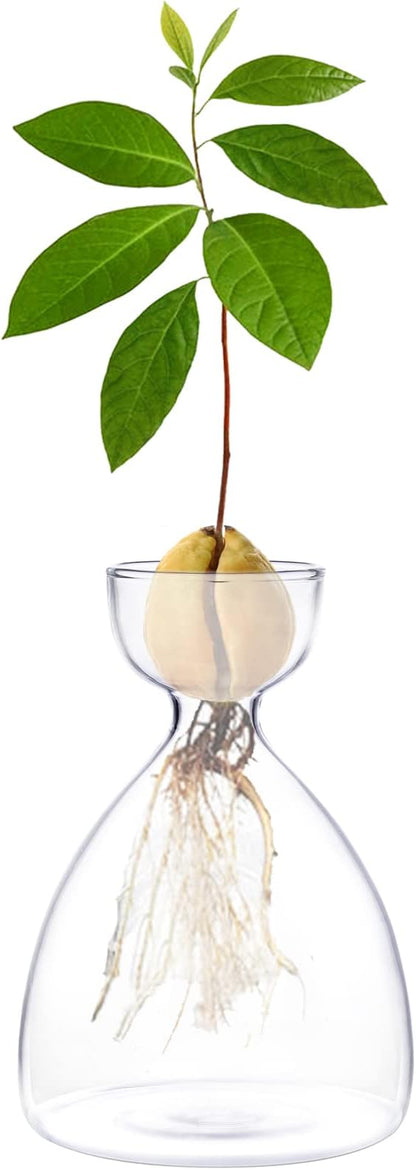 Avocado Seed Sprout Starter Vase Planter Pot Indoor Avocado Tree Growing Vase Kit Glass Garden Seed Starter Planting Vase Clear Avocado Seed Planter Gift for Kids Adult Friends Families