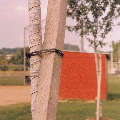 EasyFlex Plastic Locking Tree, Plant and Cable Ties, 1-Inch by 100-Feet, Black