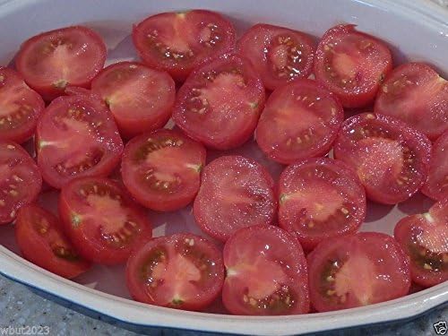 Campari Tomato Seeds,Very Juicy,High Sugar Level,Low Acidity,Lack of Mealiness !(100 Seeds)