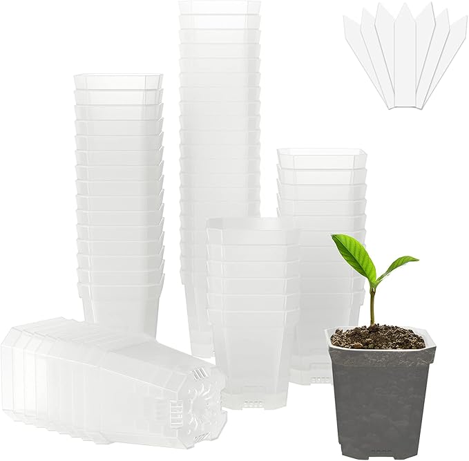 foxany 3" Clear Nursery Pot, 60 Pcs Thick Plastic Square Planting Pots Without Saucers, Plant Seedling Pots, Seed Starting Pots with 100Pcs Plant Labels
