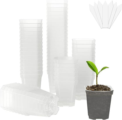 foxany 3" Clear Nursery Pot, 60 Pcs Thick Plastic Square Planting Pots Without Saucers, Plant Seedling Pots, Seed Starting Pots with 100Pcs Plant Labels