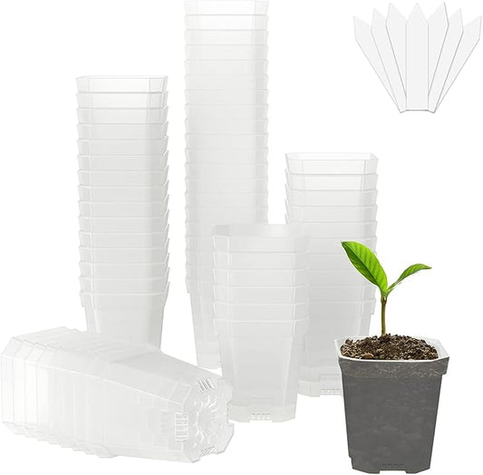 foxany 3" Clear Nursery Pot, 60 Pcs Thick Plastic Square Planting Pots Without Saucers, Plant Seedling Pots, Seed Starting Pots with 100Pcs Plant Labels