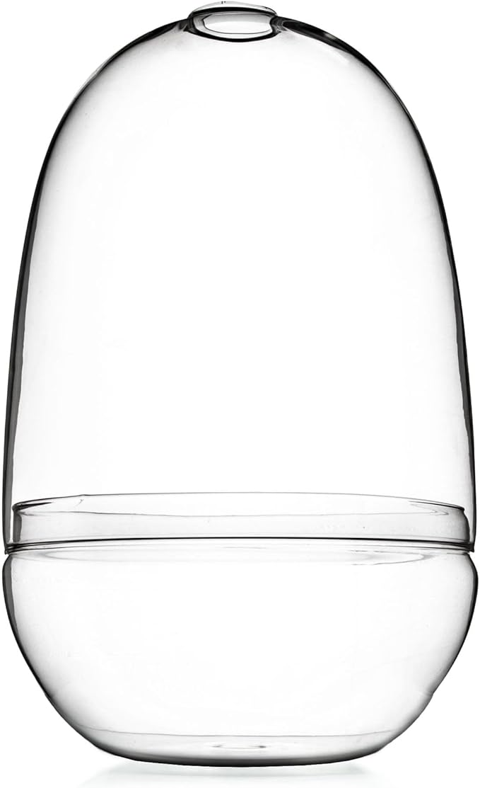 Bloomingville Large Clear Glass Terrarium