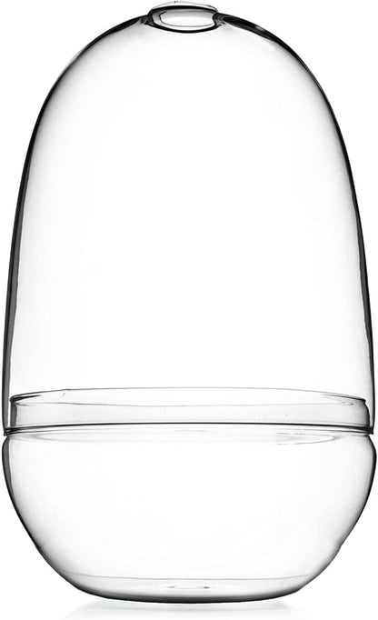 Bloomingville Large Clear Glass Terrarium