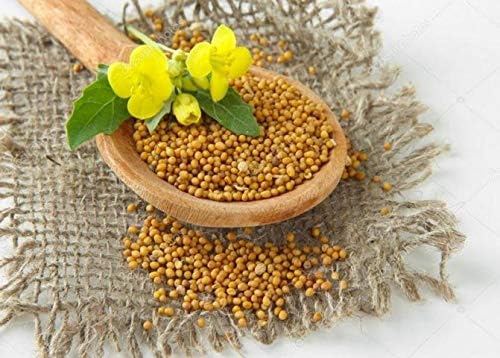 Seeds White Mustard Vegetable Garden Heirloom for Planting Non GMO