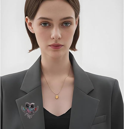 Rhinestone Owl Brooch Pin for Women Cute Big Cartoon Cat Eye Stone Owl Bird Brooch Unique Double Owl Brooch Pin Clothes Bag Hat Dress Jewelry