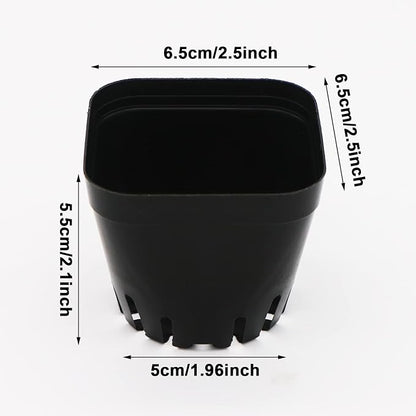 2.5 Inch Plastic Plant Nursery Pots 100 Pcs Seedlings Flower Plant Container Black Seed Starting Pots for Succulents Plants Vegetables Fruits Seedlings Transplanting