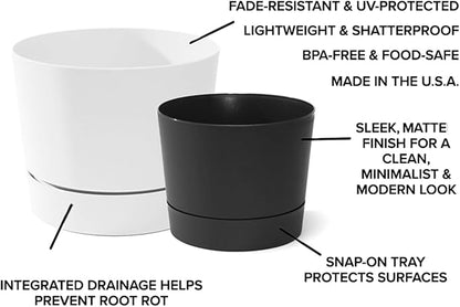Root & Vessel Majestic Mid-Century Modern Low Profile Cylinder Pot, Matte Black, 4.5"
