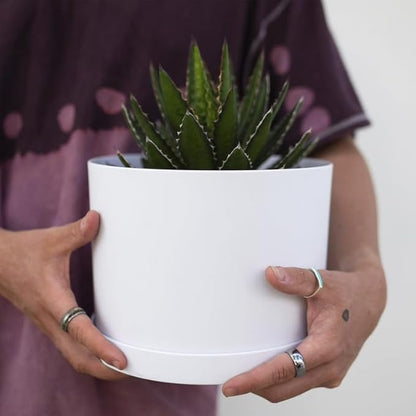 Bloem Mathers 8" White Round Modern Resin Garden Planter Pot with Drainage Holes and Removable Saucer Tray Included