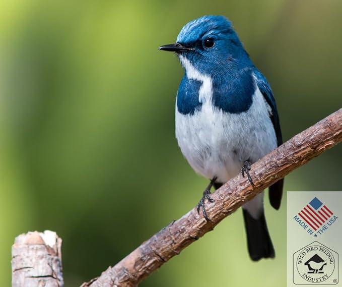 Blue Seal Nature's Choice Wild Bird Seed | High Energy Mix, No Filler | Sunflower and White Safflower Seeds | Attracts Variety of Wild Outside Birds | Shell-Free Mix | Made in USA | 8 Pound Bag