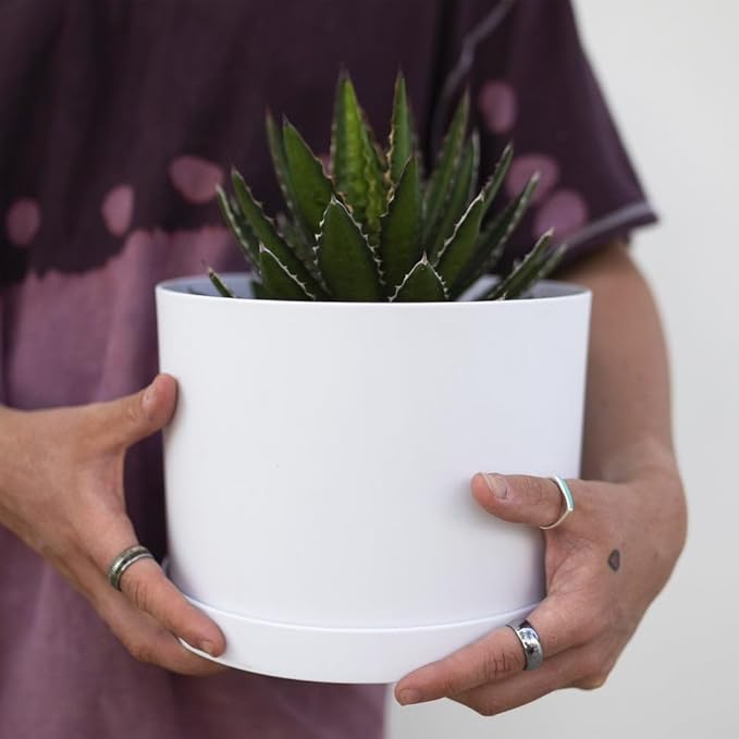 Bloem Mathers 6" White Round Modern Resin Garden Planter Pot with Drainage Holes and Removable Saucer Tray Included