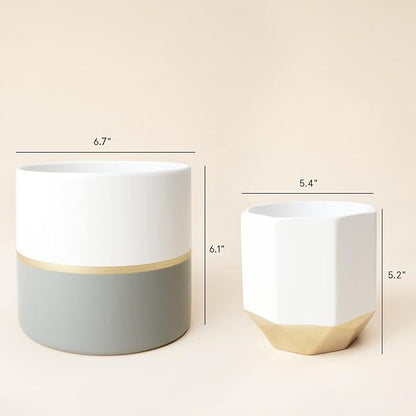 LA Jolie Muse White Ceramic Flower Pot Garden Planters 6.7 Inch Pack 2 Indoor Plant Containers with Gold and Grey Detailing