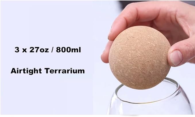 Glass Terrariums with Airtight Wooden Lid (Ball Cork) | Closed Terrarium Planters | Clear Glass Bottle Jar Containers | Set of 3 | Jars for Indoor Plants/Moss (Set of 3 (800ml / 27oz))