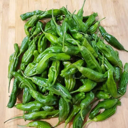 Shishito Pepper 70 Seeds, Japanese Heirloom Peppers, Shishitōgarashi, Non-GMO Japanese Wrinkled Pepper, 꽈리고추