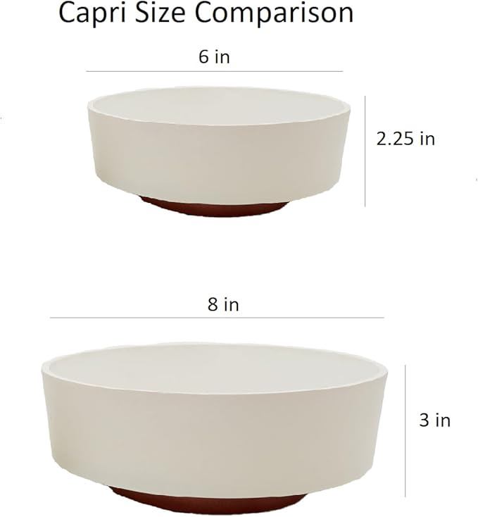 The HC Companies 8 Inch Round Plastic Succulent Capri Bowl Decorative Indoor Flower Succulent Planter Pot with Drain Plug Hole, Vanilla Bisque