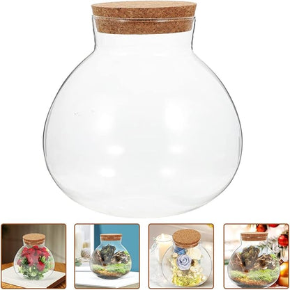 2Pcs Airtight Glass Terrarium Bottles 5.11 Inch Round Sealed Planters with Cork Lid for Succulent Plants Micro Landscape Home Decor
