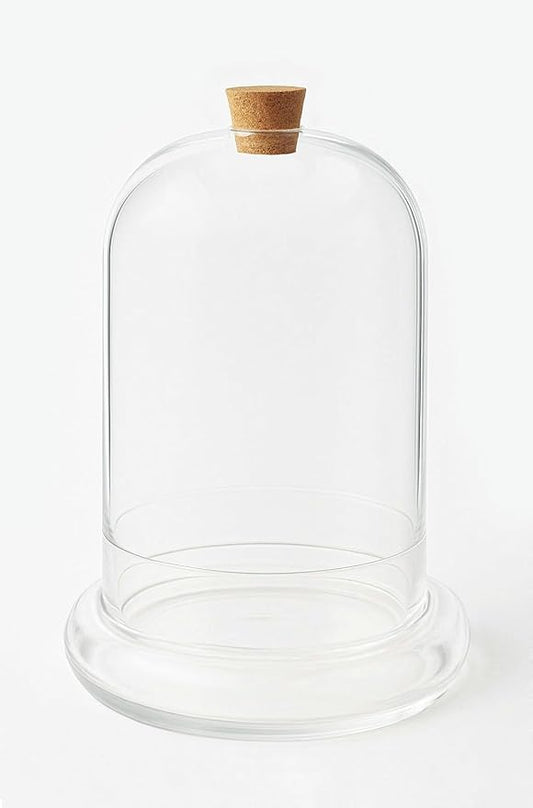 Handblown 10" Glass Terrarium with Opening for Air Flow & Cork Stopper Cloche Style Glass Dome Vivarium Display Case (Large)