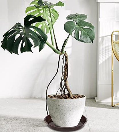 6 Pack of Plant Saucer 8 Inch, 8 inch Plant Saucer Round, Plastic Flower Plant Trays for Pots, Plant Saucers for Indoors 8", Plant Pot Saucers, Planter Tray for Planter 6-8" (8", Brown)
