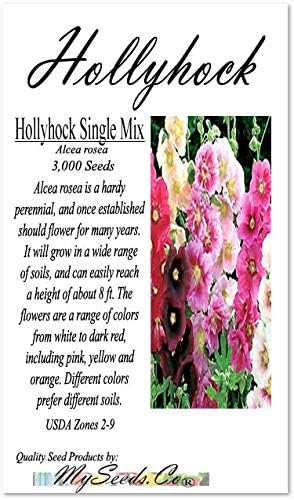 Big Pack - Hollyhock Single Mix Seed (3,000 Seeds) - Alcea rosea Heirloom Seeds - White to Dark red, Including Pink, Yellow and Orange Edible Flower Seeds (Big Pack - Hollyhock Mix)