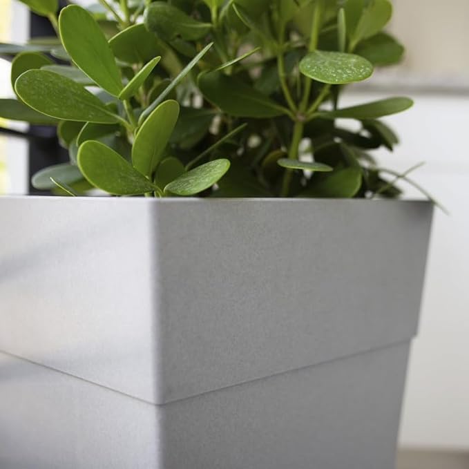 Bloem Tall Finley Tapered Square Planter: 25" - Cement Gray - Matte Textured Finish, 100% Recycled Plastic Pot, for Indoor and Outdoor Use, Gardening, 9 Gallon Capacity