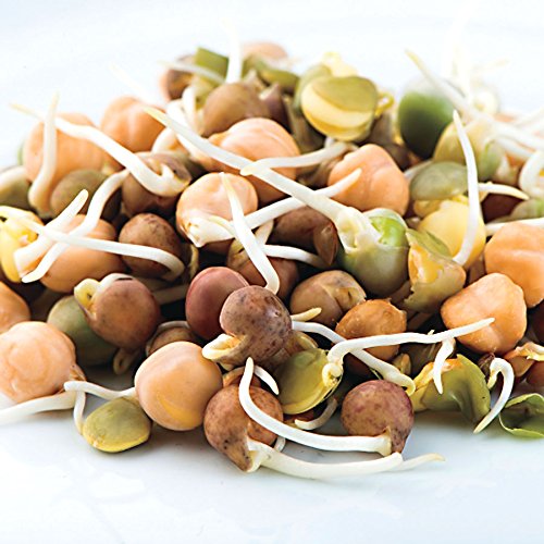 Nature Jim's Sprouts 3-Bean Seed Mix - Organic Green Peas, Lentils & Adzuki Beans for Planting - Non-GMO Microgreen Sprout Seeds, Fast Sprouting, High in Fiber, Protein, Nutrients & Vitamins - 16 Oz