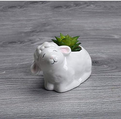 Funnuf Cute Animal White Ceramic Succulent Cactus Flower Planter for Home Garden Office Desktop, 2pcs, Small & Large White Sheep