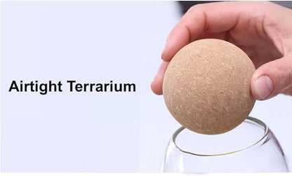 Glass Terrarium with Airtight Wood Lid (Ball Cork) | Closed Terrarium Planter | Clear Glass Bottle Jar Container | 800ml / 27oz | Moss Terrarium Jar | Indoor Ecosystem Decoration Gifts (Only Jar)