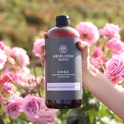 Heirloom Roses Founder’s Fish Fertilizer - Plant Food for Plants, Organic Liquid Emulsion Fertilizer, Garden Fertilizers for Rose Flower and Tomato Outdoor Gardening
