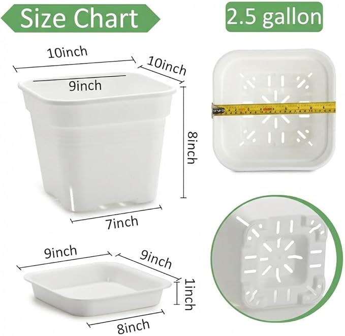 10 Inch Square Planters with Saucers - 5 Pack Large White Plastic Plant Pots with Raised Airflow Center & Corner Vents - Heavy Duty 5mm Thick Orchid Pots for Indoor Outdoor Vegetables & Trees