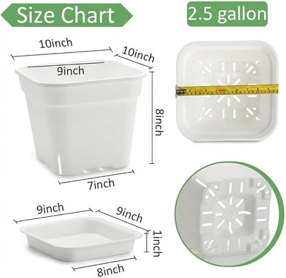 10 Inch Square Planters with Saucers - 5 Pack Large White Plastic Plant Pots with Raised Airflow Center & Corner Vents - Heavy Duty 5mm Thick Orchid Pots for Indoor Outdoor Vegetables & Trees