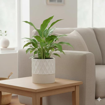Nihow Self Watering Plant Pot for Indoor Plants: 6 Inch Ceramic Planter with Drainage Hole & Water Storage Plus - Cylinder Flower Pot with Wick for Herbs - Cream White & Brown Net