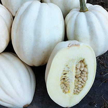Park Seed Mashed Potato Winter Squash Seeds – Unique White Flesh & Skin, Fluffs Like Mashed Potatoes When Baked, Compact 1–2 lb, Productive Vines with 3–4 Fruits Each, Versatile in Recipes, Pack of 20