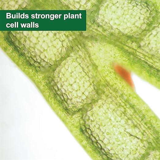 Dyna-Gro® Pro-Tekt® 0-0-3 Silicon Supplement for Plants, 1 qt