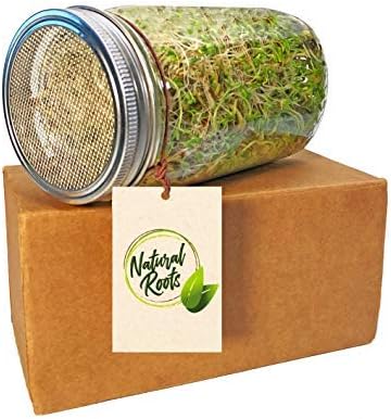 Variety Pack Sprouting Seeds Broccoli, Alfalfa, Radish, Mung beans & Salad Mix for Sprouts and Microgreens. Non-GMO. Pack of 10 premeasured seeds for quart size jars or trays. Includes 2 packs of each