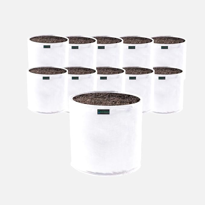 Commercial Grow Bag Pack of 10, Air Pruning Mesh Fabric Plant Containers (5 Gallon, White)