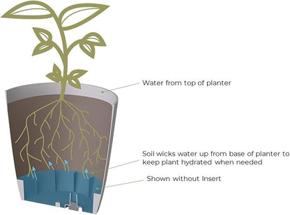 The HC Companies Aria Self Watering Square Plant Pot w/Drainage - Planters for Outdoor Plants & Indoor Plants - Lightweight & UV-Resistant Plastic Pots for Plants (6" Glossy Black, Pack of 2)