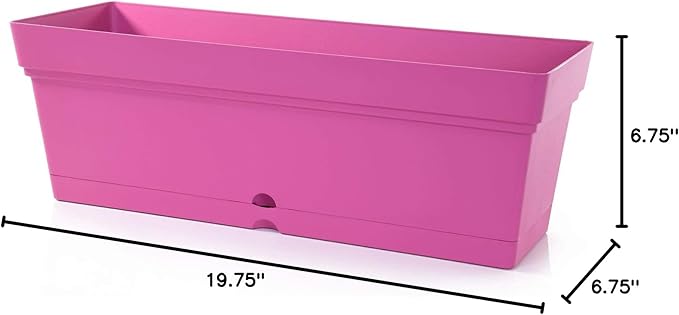 Mintra Window Box Planter, Window Planter Box for Indoor Outdoor Use, Rectangular Pots with Saucers & Drainage Holes, Decorative Plant Pots for Window Sill, Shelf, Desktop, 19" Wx6.75 H, Fuchsia