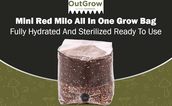 Mini Red Milo All-in-One Mushroom Grow Bag