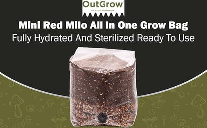 Mini Red Milo All-in-One Mushroom Grow Bag