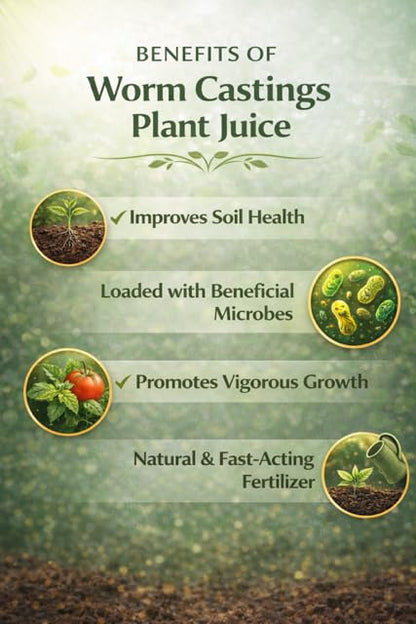 Worm Castings Tea Plant Juice - Gallon. Concentrated Worm Tea with Kelp and Feather Meals. Indoor and Outdoor Soil Restorer and Plant Fertilizer for All Vegetation with Soil. (Gallon)