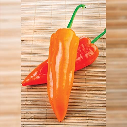 Park Seed Sweet Pepper Vegatable Plant Seeds, Easy to Grow, Spring Garden, Organic F1 Oranos, Pack of 5