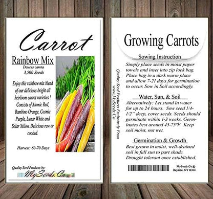 Big Pack - (3,500+) Rainbow Mix Carrot Seeds - Atomic Red, Bambino Orange, Cosmic Purple, Lunar White and Solar Yellow Seeds (Big Pack - Carrot Rainbow Mix)