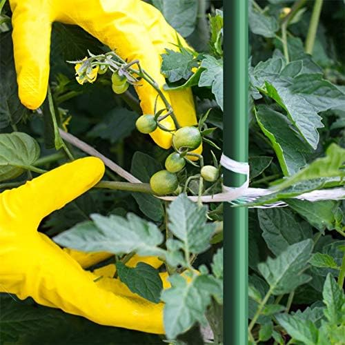 5ft Garden Stakes 50pack for Climbing Plants, 1/4" Diameter Supports Poles EcoStake Rust-Free Plant Sticks Fence Post (60inch)