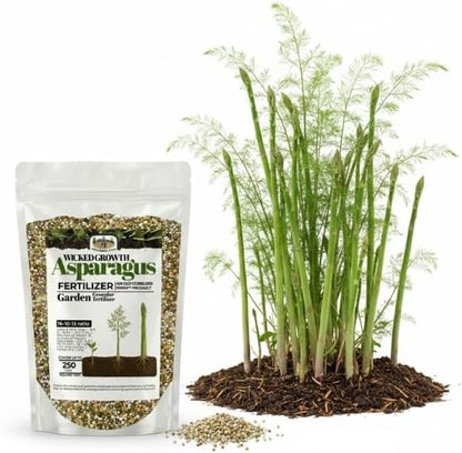 Old Cobblers Farm™ Wicked Growth Asparagus Fertilizer – Balanced Formula for Healthy Spears & Strong Root Growth – Supports Early Season Growth (5 lbs | 10 lbs | 15 lbs | 20 lbs) (5 lbs)