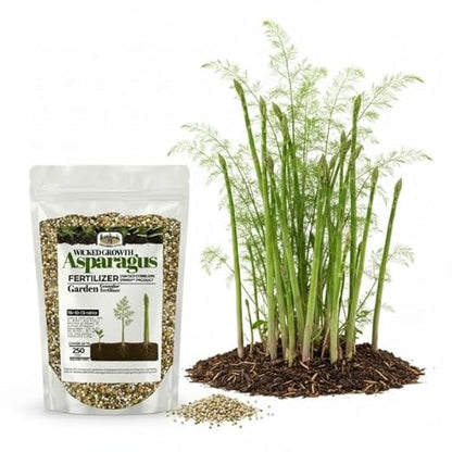 Old Cobblers Farm™ Wicked Growth Asparagus Fertilizer – Balanced Formula for Healthy Spears & Strong Root Growth – Supports Early Season Growth (5 lbs | 10 lbs | 15 lbs | 20 lbs) (10 lb)