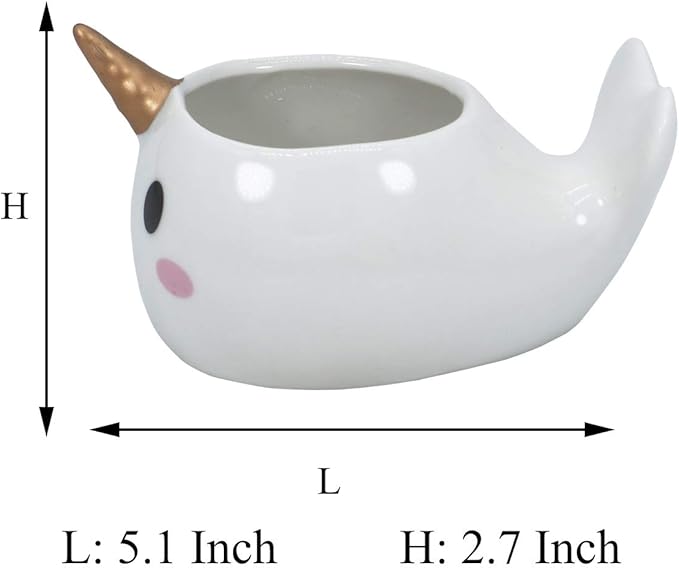 Cute Narwhal Succulent Planter Pot with Drainage Tray, Small White Ceramic Cactus Flower Container, Animal Whale Indoor Air Plants Holder