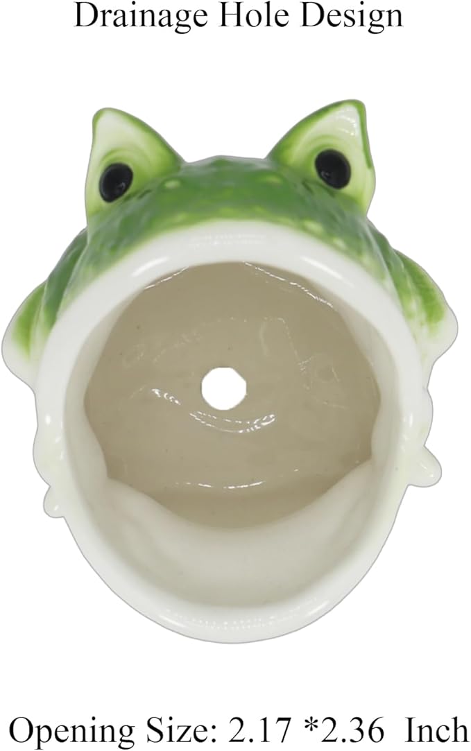 Cute Frog Succulent Planter Pot with Drainage Tray, Small Ceramic Cactus Flower Container, Funny Animal Shaped Indoor Air Plants Holder