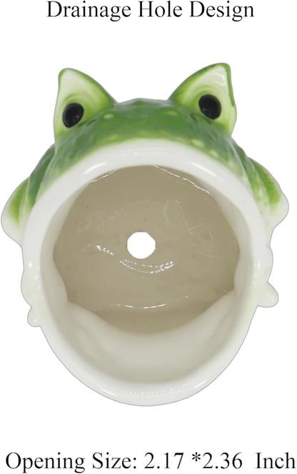 Cute Frog Succulent Planter Pot with Drainage Tray, Small Ceramic Cactus Flower Container, Funny Animal Shaped Indoor Air Plants Holder